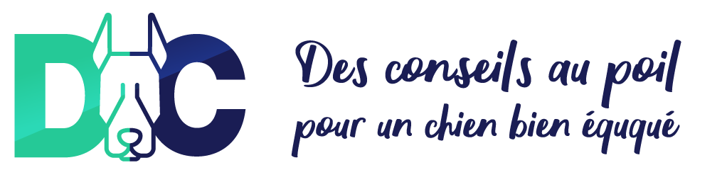 Logo Dressagecanin.fr